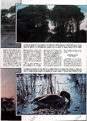 BLANCO Y NEGRO MADRID 26-06-1976 página 45