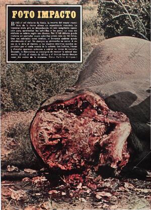 BLANCO Y NEGRO MADRID 24-07-1976 página 8