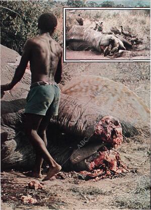 BLANCO Y NEGRO MADRID 24-07-1976 página 9