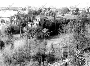 Jardines de san Telmo