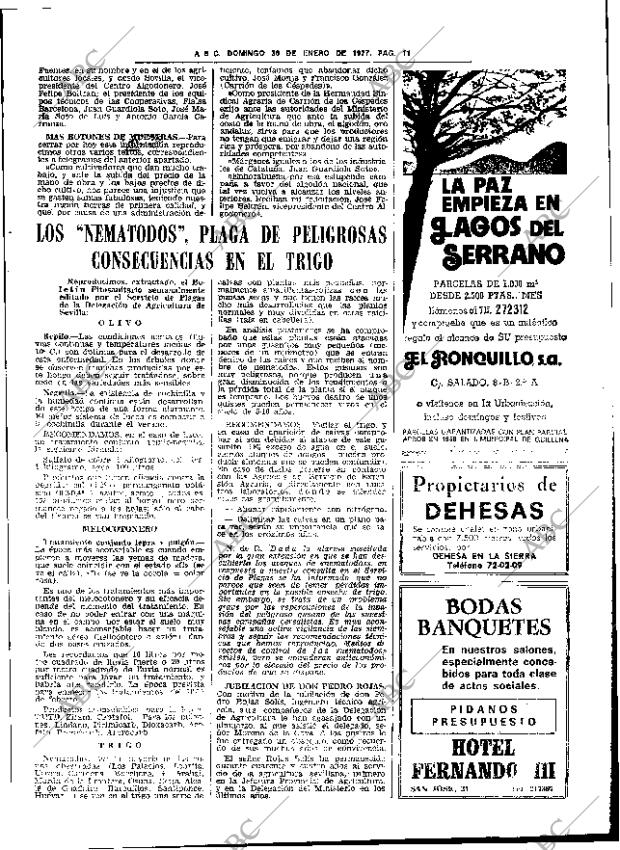 ABC SEVILLA 30-01-1977 página 25