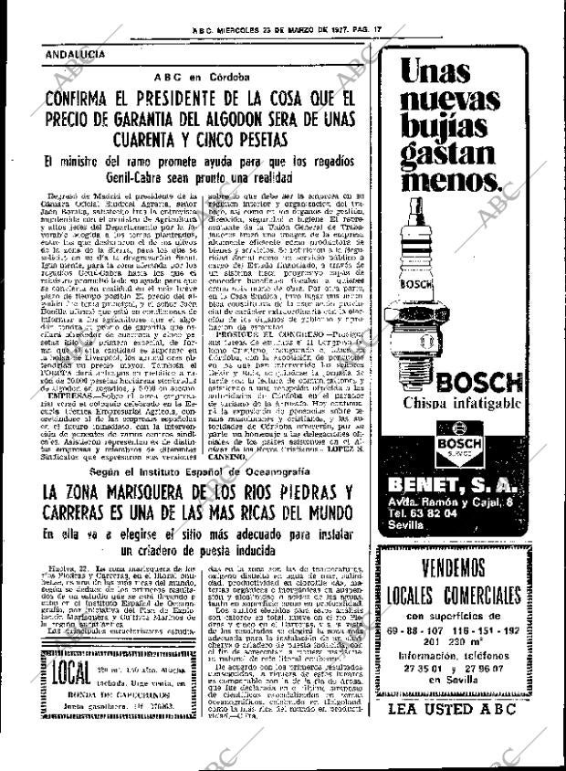 ABC SEVILLA 23-03-1977 página 25