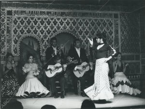 Cuadro flamenco actuando en el tablao Torres Bermejas