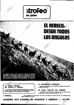 BLANCO Y NEGRO MADRID 06-07-1977 página 22