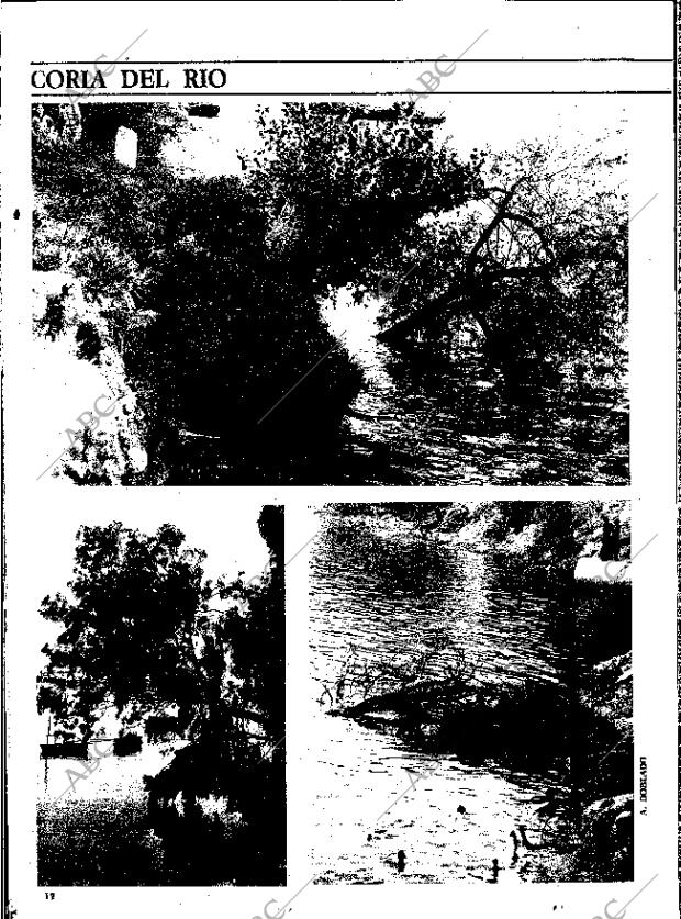 ABC SEVILLA 28-07-1977 página 60