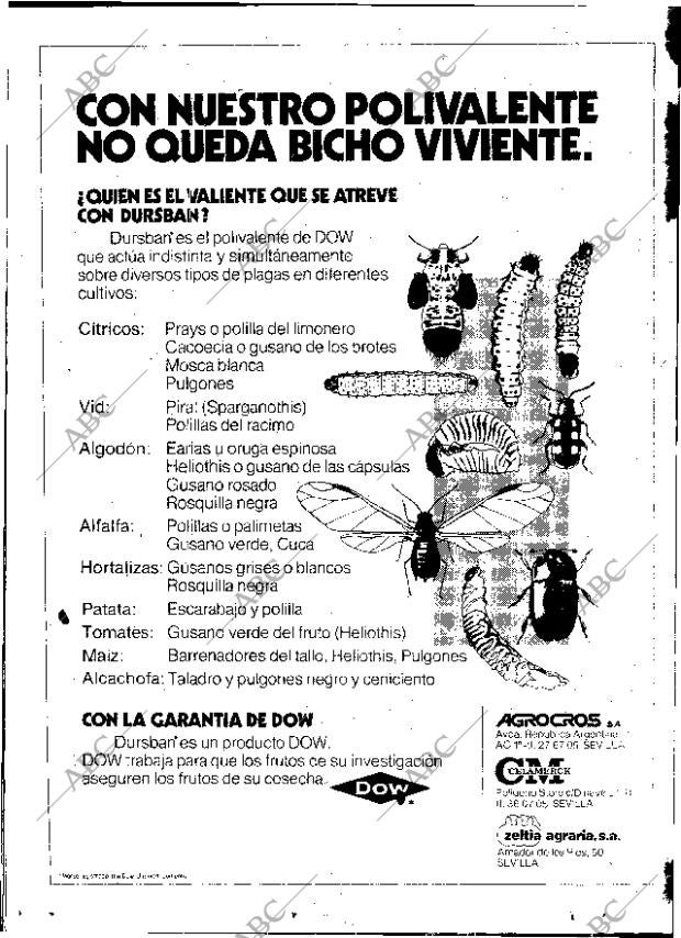 ABC SEVILLA 14-08-1977 página 4