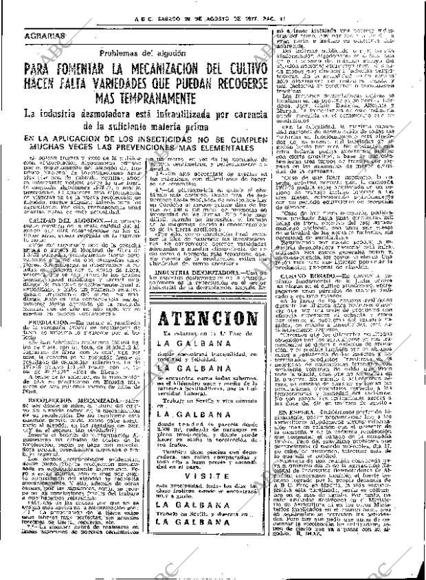 ABC SEVILLA 20-08-1977 página 19