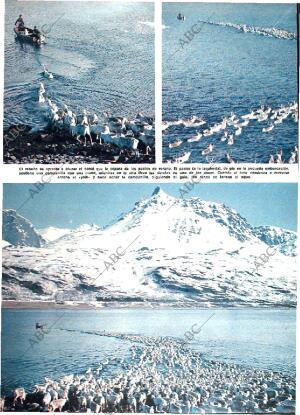 ABC MADRID 28-08-1977 página 104