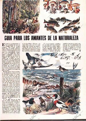 ABC MADRID 04-12-1977 página 135