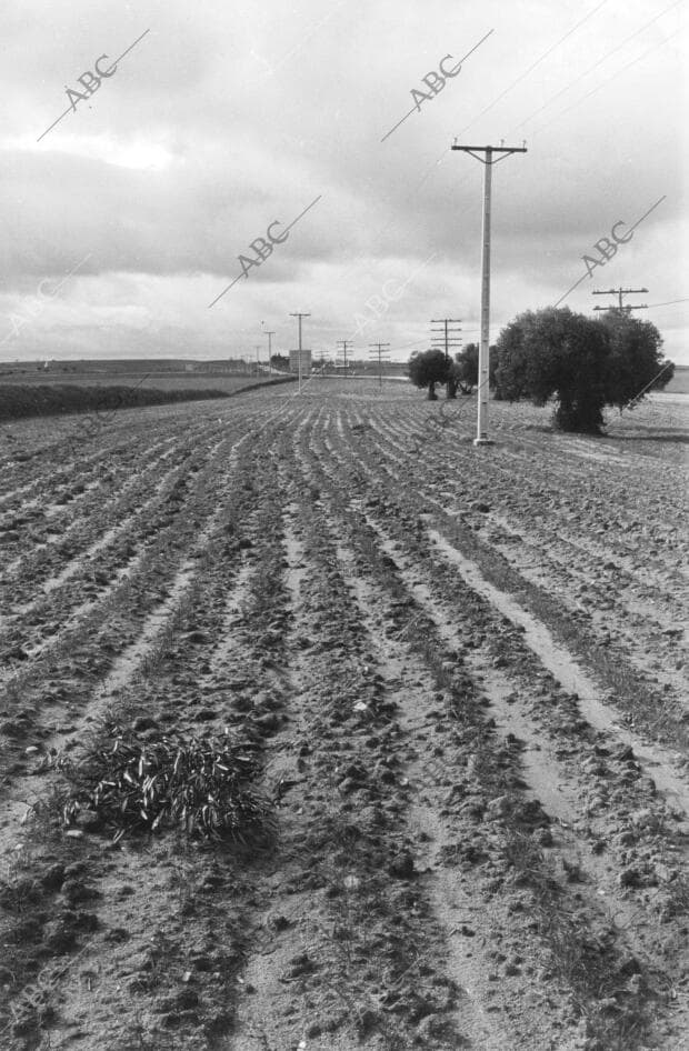 En Imagen, lo Terrenos por los que Discurrirá la nueva carretera A su paso por...