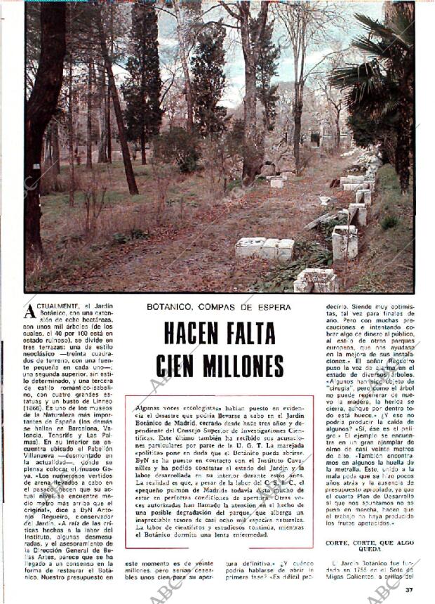 BLANCO Y NEGRO MADRID 01-03-1978 página 37