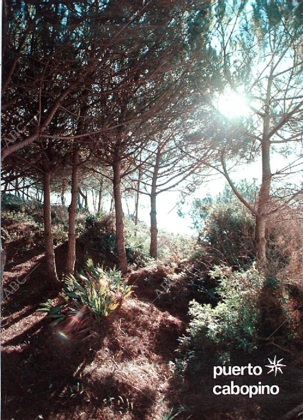 BLANCO Y NEGRO MADRID 22-03-1978 página 33