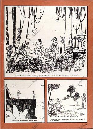 BLANCO Y NEGRO MADRID 03-05-1978 página 71