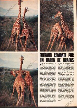 ABC MADRID 23-07-1978 página 116