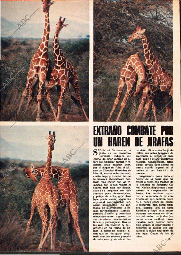 ABC MADRID 23-07-1978 página 116