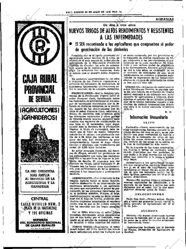 ABC SEVILLA 29-07-1978 página 24