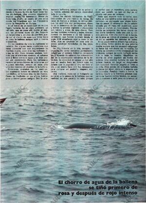 BLANCO Y NEGRO MADRID 13-09-1978 página 35