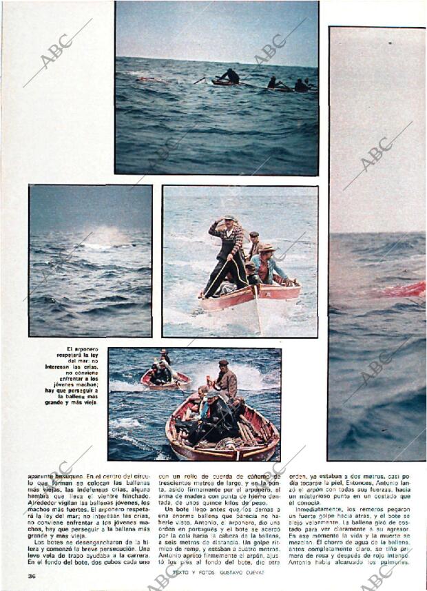 BLANCO Y NEGRO MADRID 13-09-1978 página 36