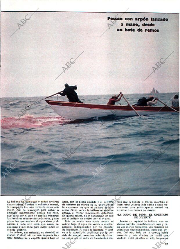 BLANCO Y NEGRO MADRID 13-09-1978 página 37