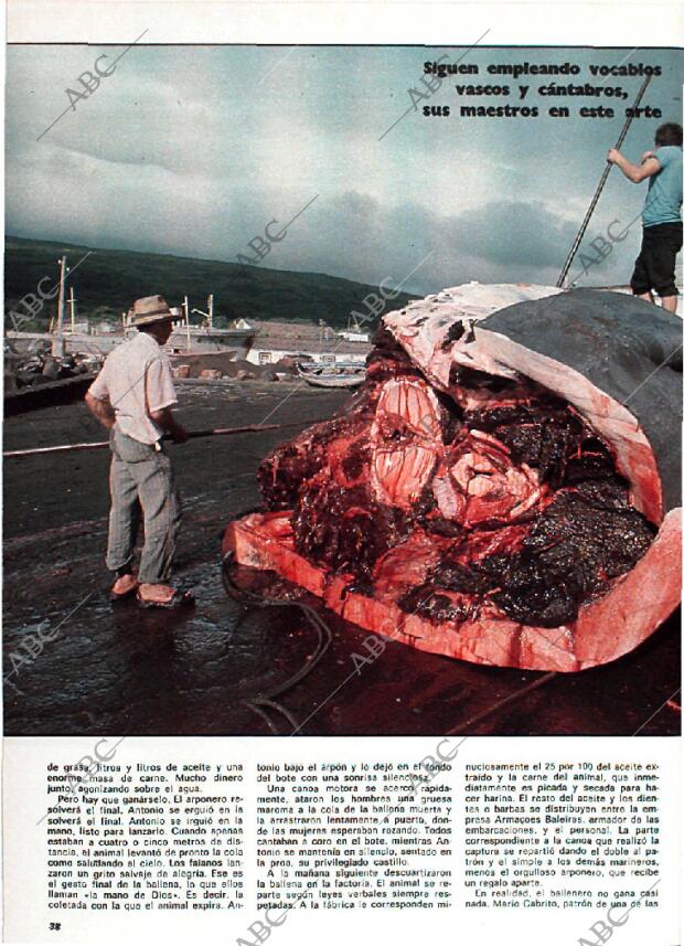 BLANCO Y NEGRO MADRID 13-09-1978 página 38