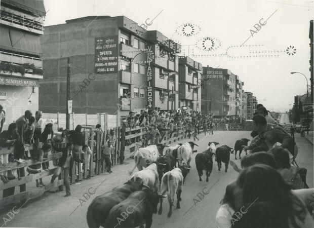San Sebastián de los Reyes (Madrid), 1979 (CA.)