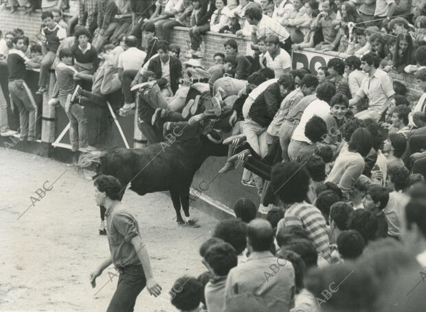 San Sebastián de los Reyes (Madrid), 1979 (CA.)
