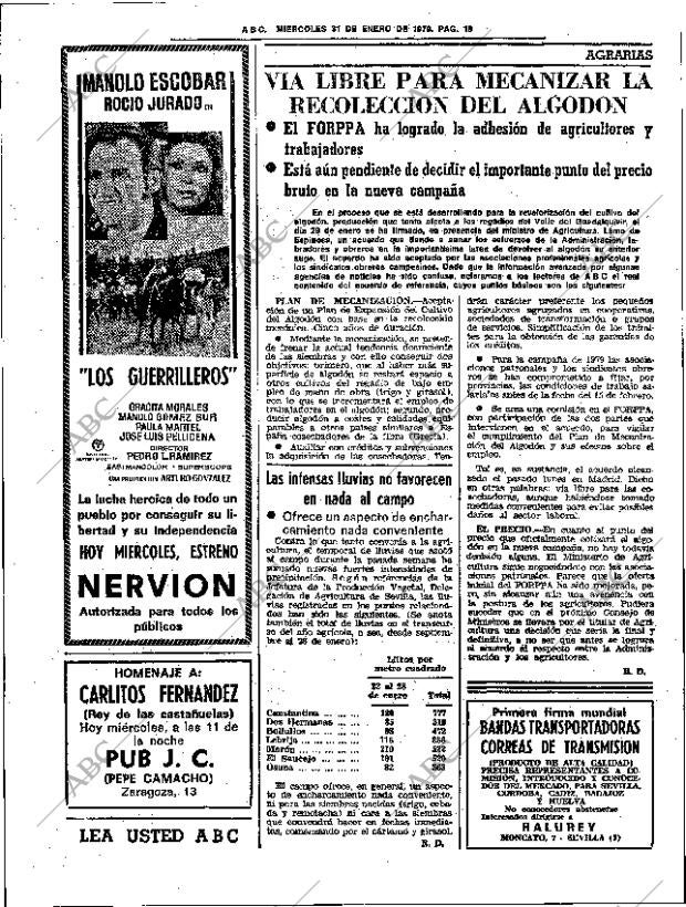 ABC SEVILLA 31-01-1979 página 24