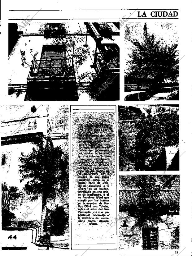 ABC SEVILLA 09-06-1979 página 13