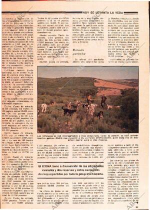 ABC MADRID 14-10-1979 página 161