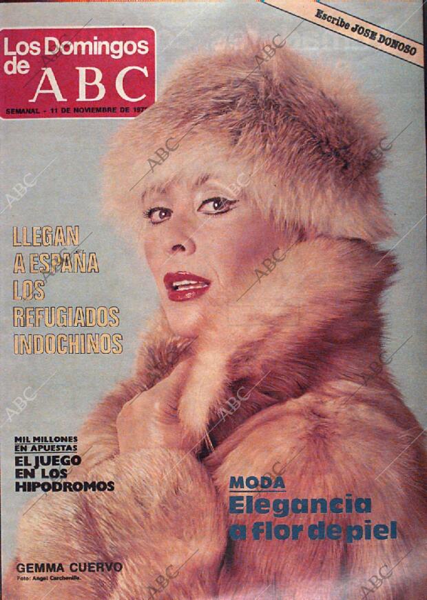 ABC MADRID 11-11-1979 página 105