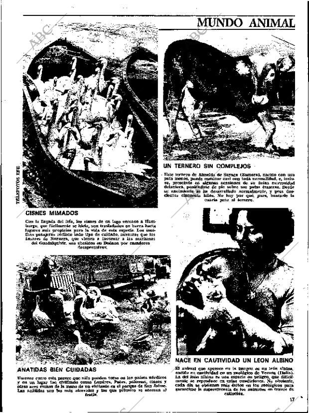 ABC SEVILLA 14-11-1979 página 73
