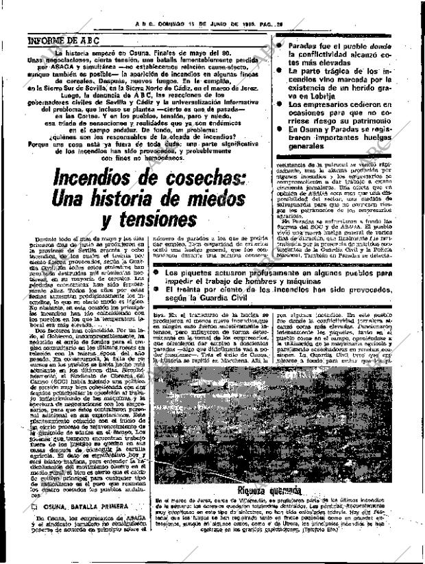 ABC SEVILLA 15-06-1980 página 36