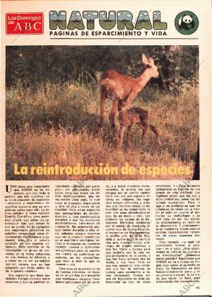 ABC MADRID 07-09-1980 página 141