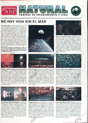 ABC MADRID 14-09-1980 página 149