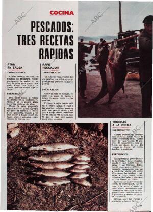 BLANCO Y NEGRO MADRID 24-09-1980 página 69