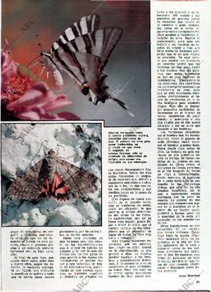 BLANCO Y NEGRO MADRID 01-10-1980 página 37