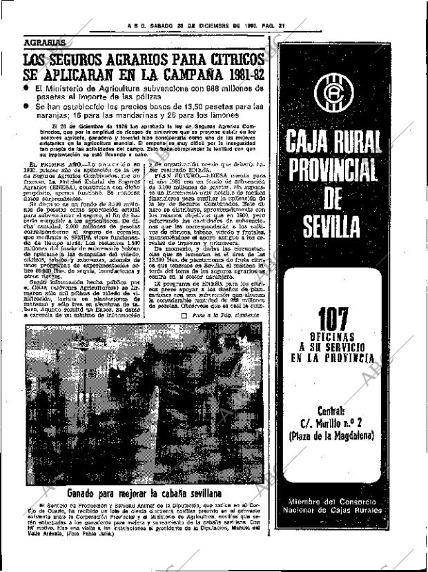 ABC SEVILLA 20-12-1980 página 37