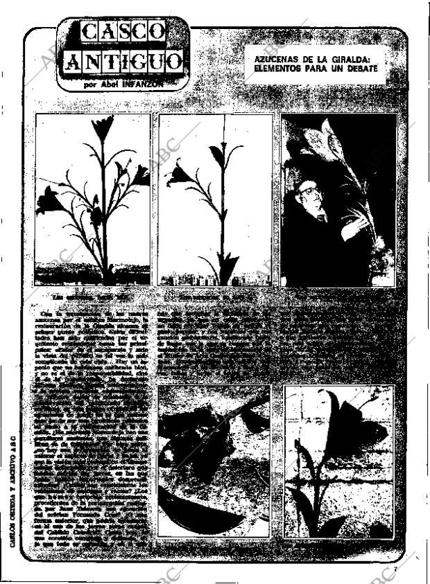 ABC SEVILLA 17-01-1981 página 55