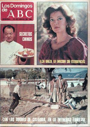 ABC MADRID 18-01-1981 página 113