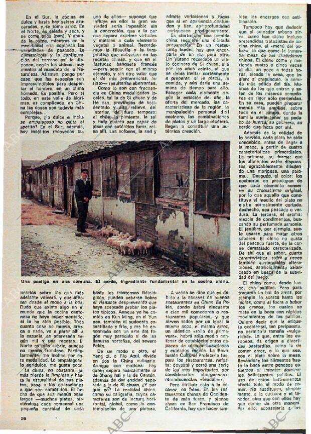 ABC MADRID 18-01-1981 página 132