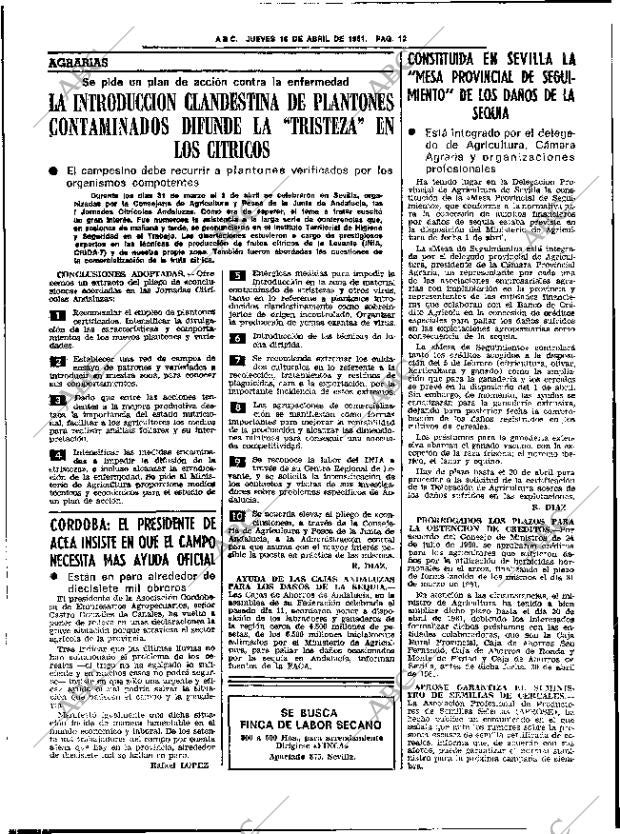 ABC SEVILLA 16-04-1981 página 20