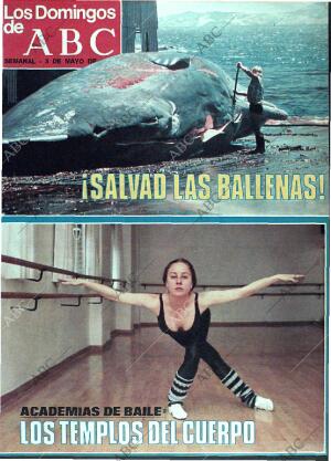 ABC MADRID 03-05-1981 página 105