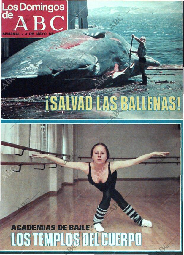 ABC MADRID 03-05-1981 página 105