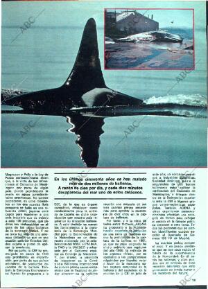 ABC MADRID 03-05-1981 página 123