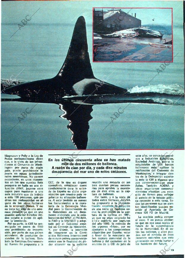 ABC MADRID 03-05-1981 página 123