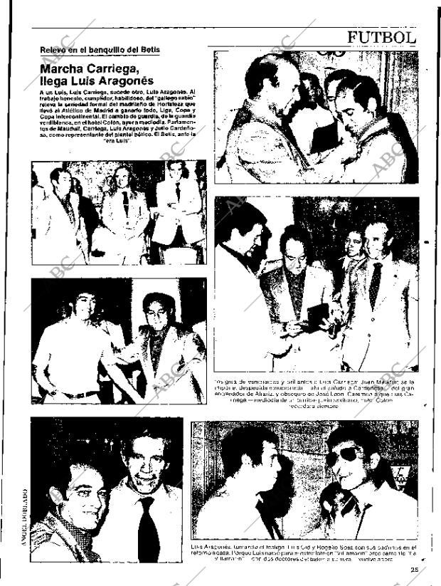 ABC SEVILLA 13-06-1981 página 81