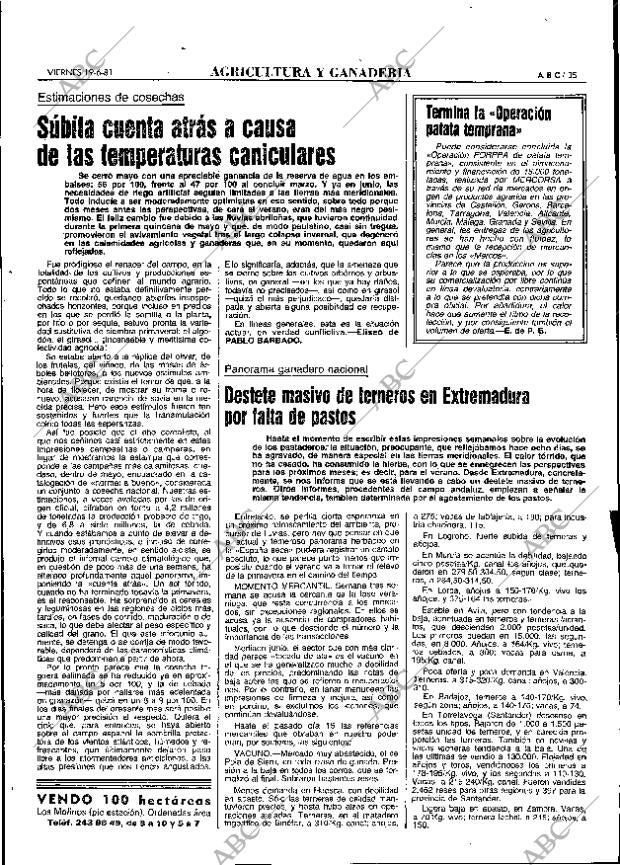 ABC MADRID 19-06-1981 página 43