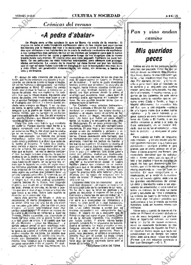 ABC MADRID 14-08-1981 página 31