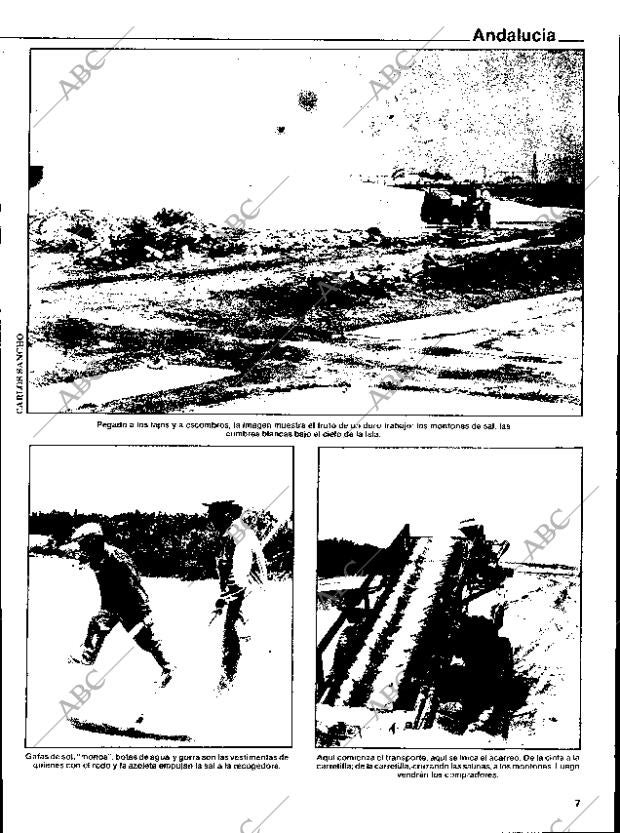 ABC SEVILLA 14-08-1981 página 7