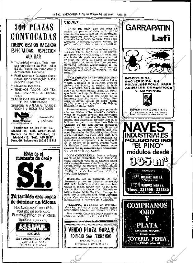 ABC SEVILLA 09-09-1981 página 36